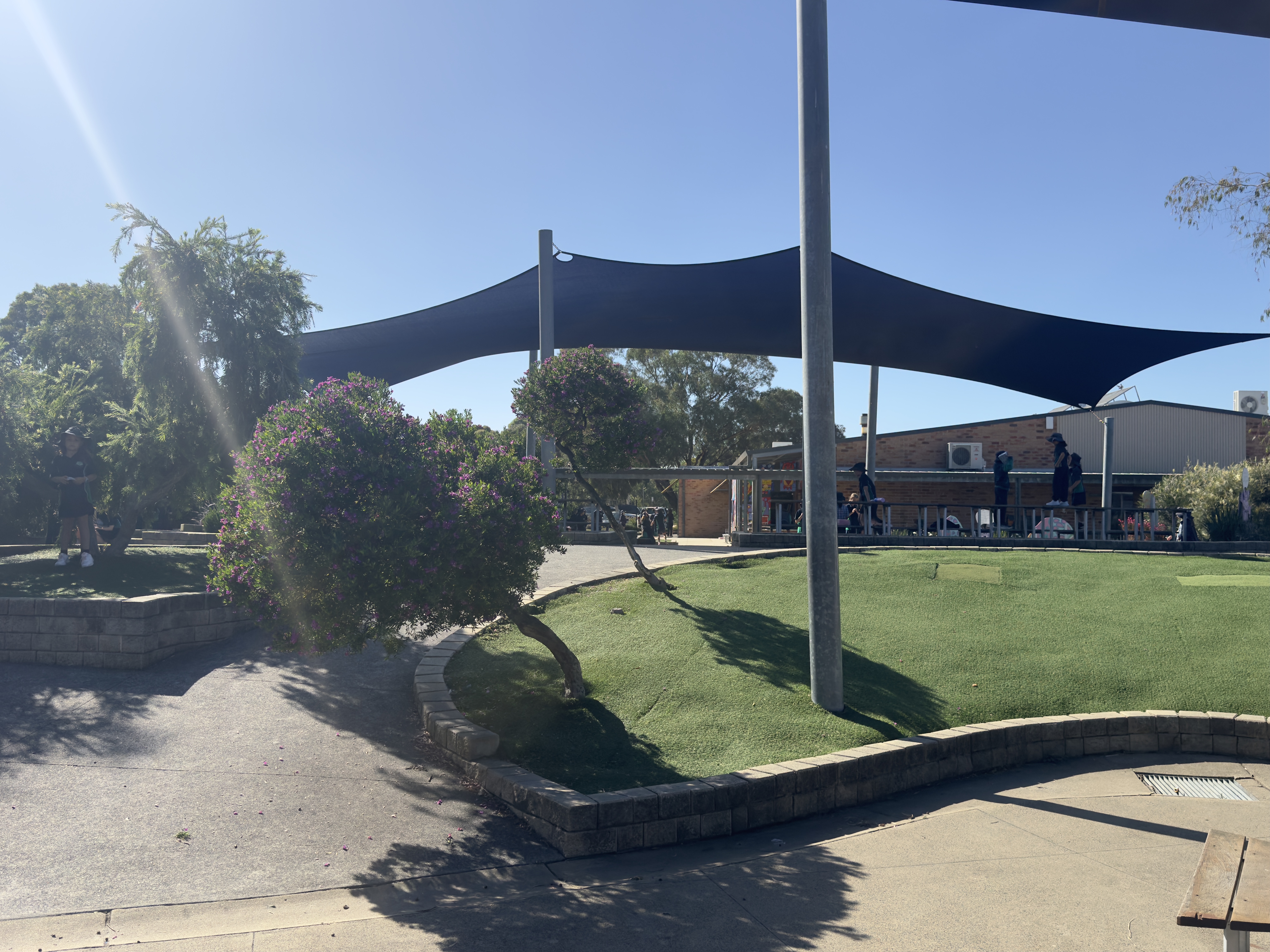 /uploaded_files/media/gallery/1775092486IMG_8564 2.jpeg